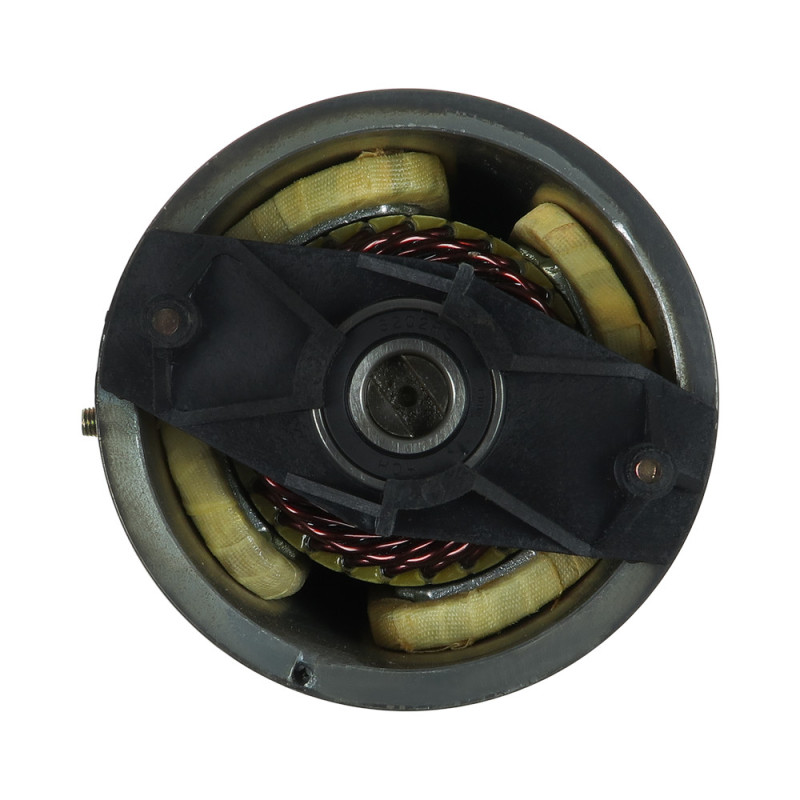 Moteur électrique TOMMY GATE Various Models