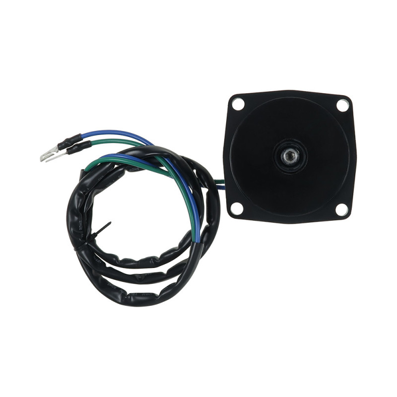 Moteur électrique EVINRUDE E40TTL